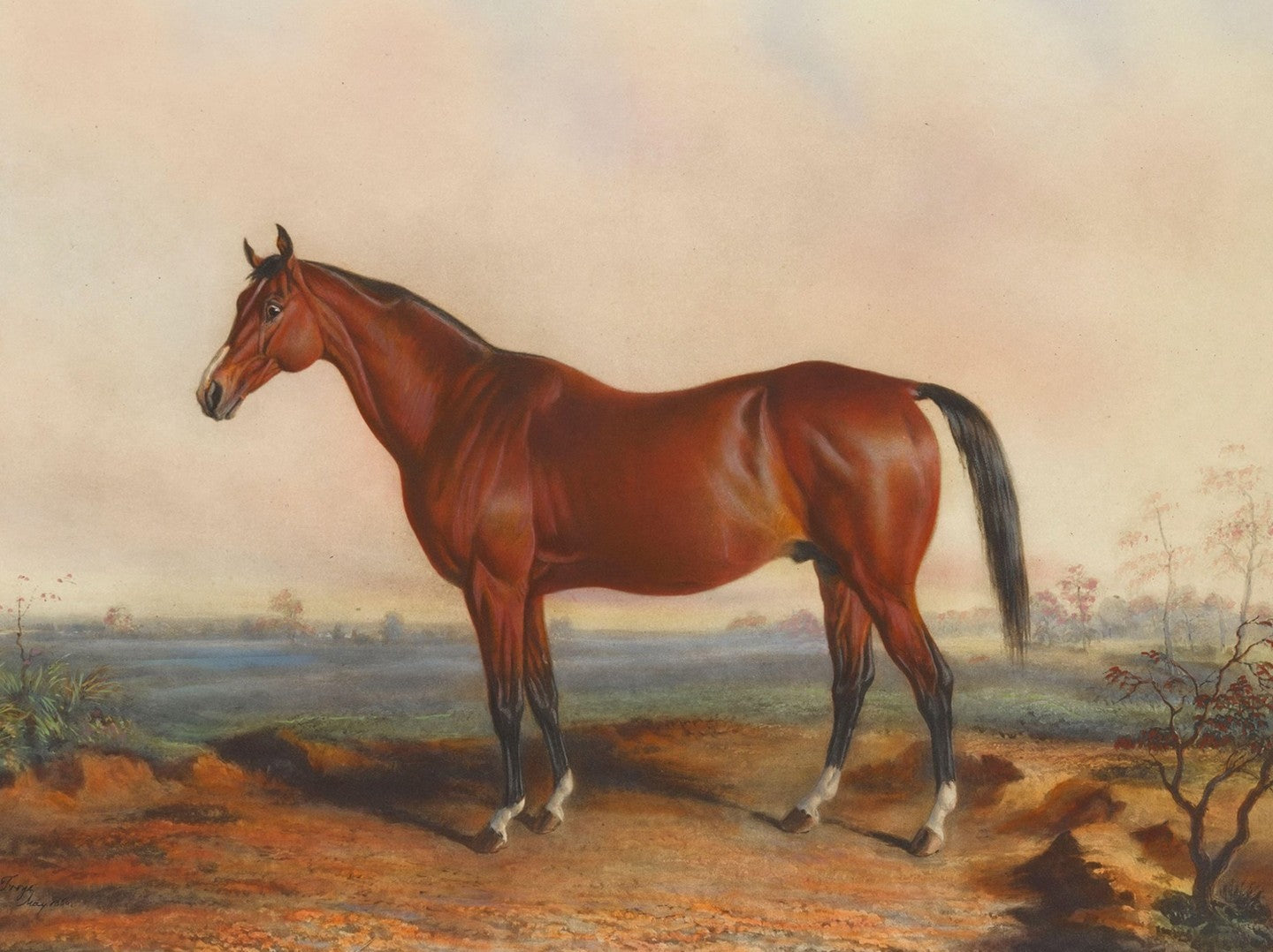 Lexington by Edward Troye, 1856.