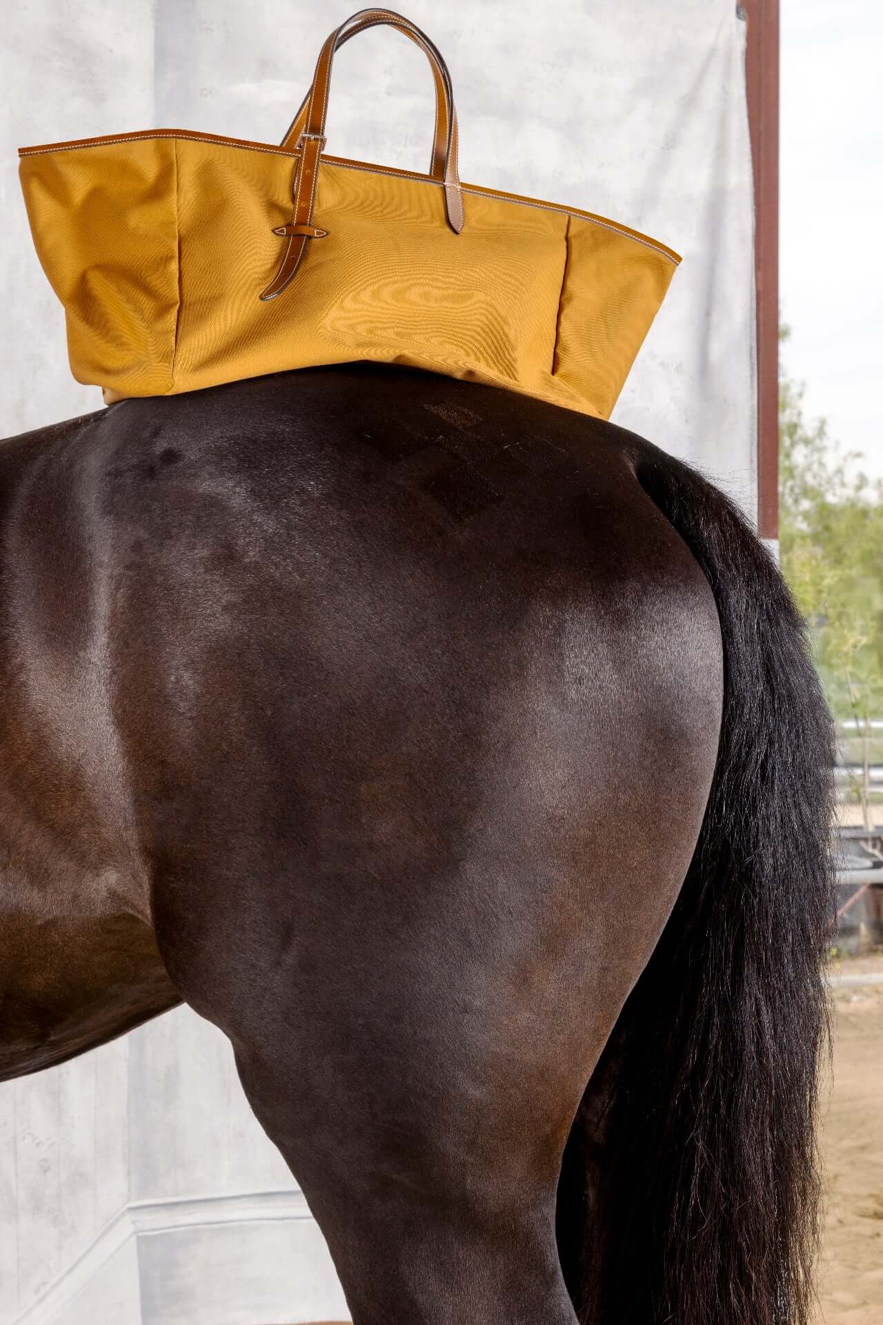 Leonora 18 Italian Canvas Carryall - Saddle on horse