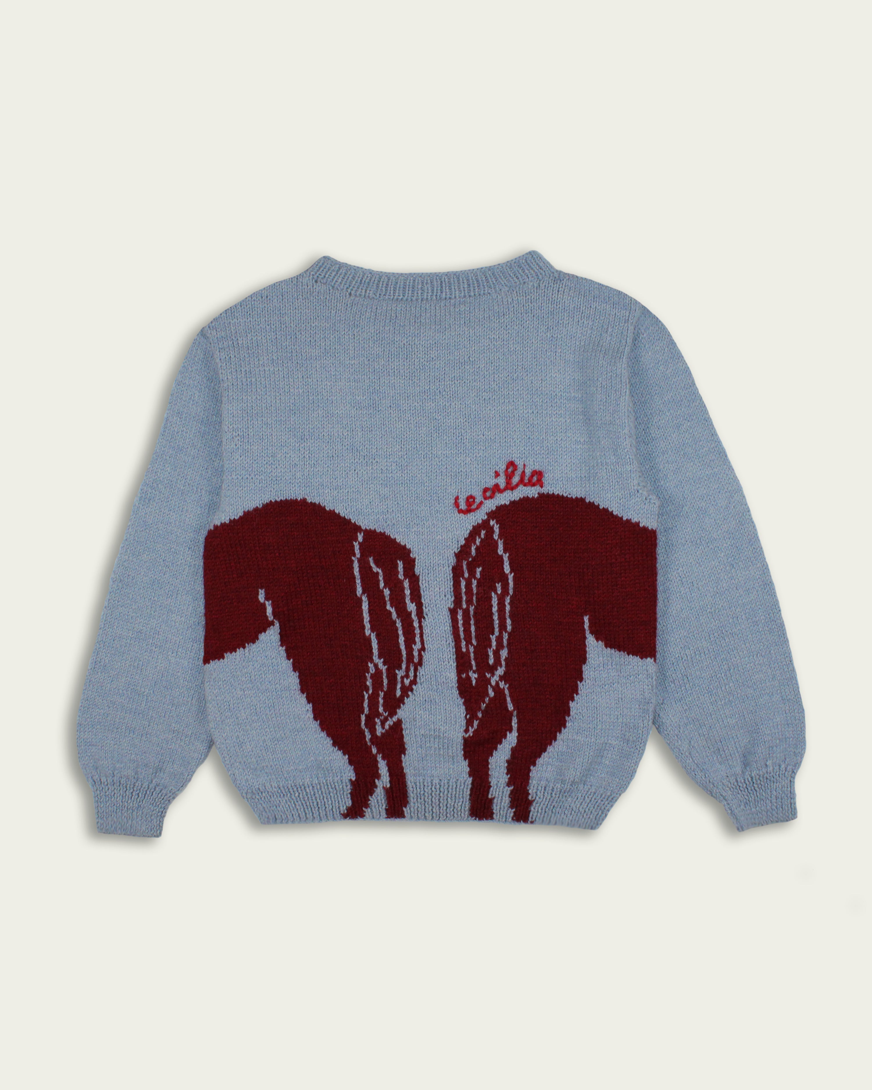 BFF Hand Knit Baby Alpaca Sweater